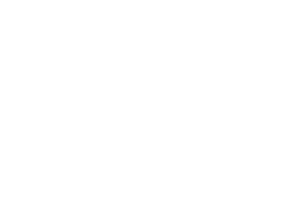 Texas Map Pixeled White